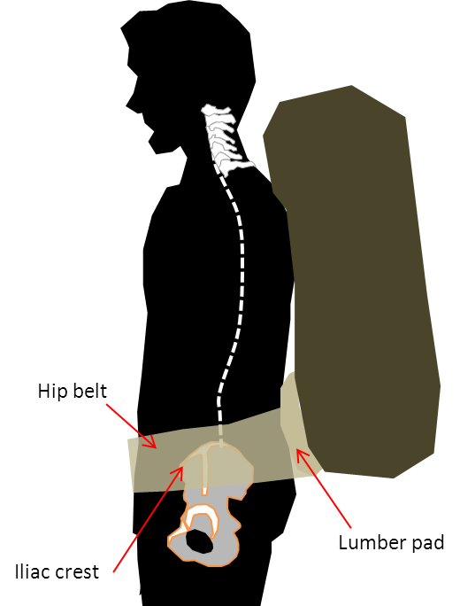 Hip belt position