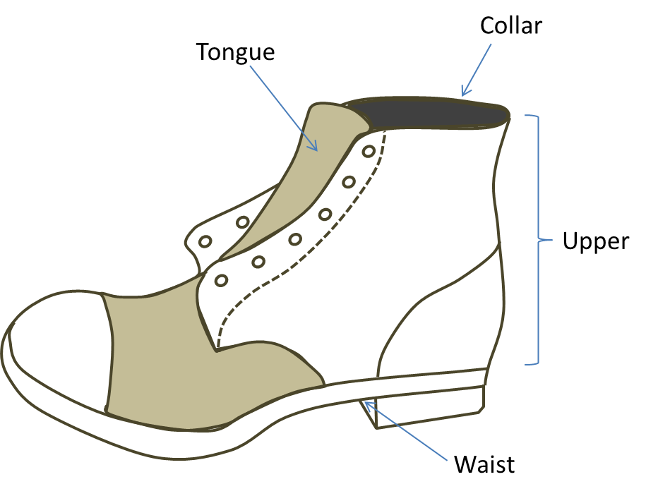 Shoes Anatomy