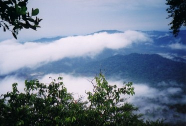 Gunung Panti summit view