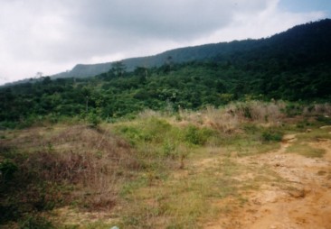 Gunung Panti, Kumpong Lukut