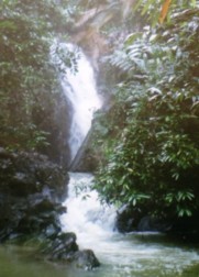 Sungei Pelepah waterfall 2
