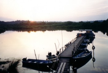 Tasek Bera